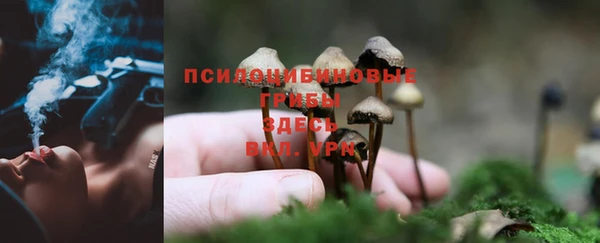 mix Балабаново