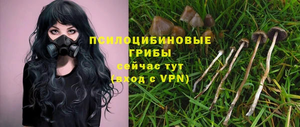 гашик Баксан