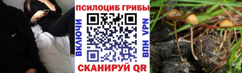 Галлюциногенные грибы Cubensis  цена   Георгиевск 